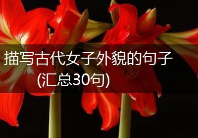 描写古代女子外貌的句子(汇总30句)