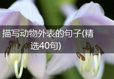 描写动物外表的句子(精选40句)