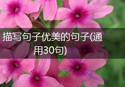 描写句子优美的句子(通用30句)
