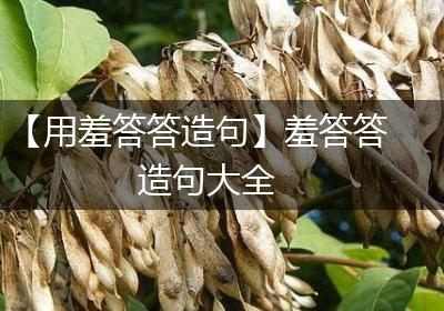 【用羞答答造句】羞答答造句大全