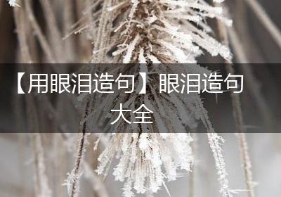 【用眼泪造句】眼泪造句大全