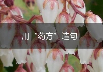 用“药方”造句