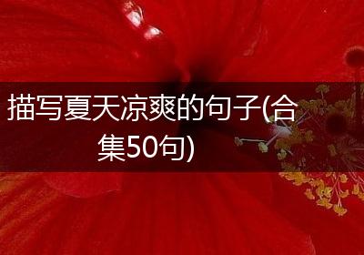 描写夏天凉爽的句子(合集50句)