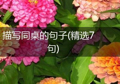 描写同桌的句子(精选7句)