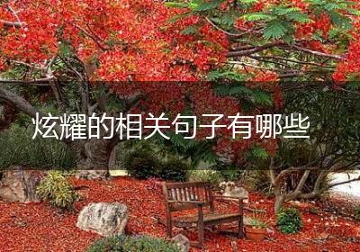 炫耀的相关句子有哪些