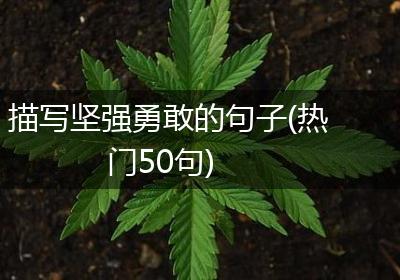 描写坚强勇敢的句子(热门50句)
