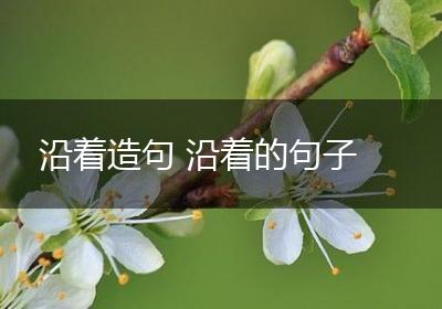 沿着造句 沿着的句子