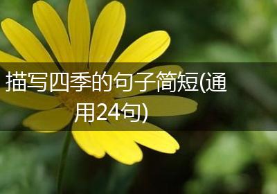描写四季的句子简短(通用24句)