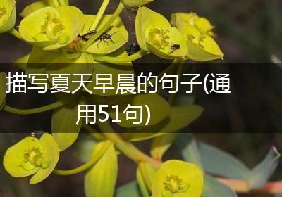 描写夏天早晨的句子(通用51句)