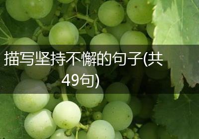 描写坚持不懈的句子(共49句)