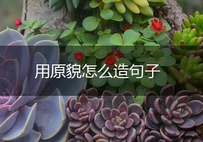 用原貌怎么造句子