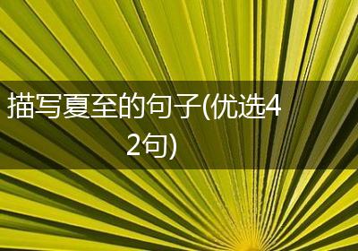 描写夏至的句子(优选42句)