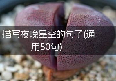 描写夜晚星空的句子(通用50句)
