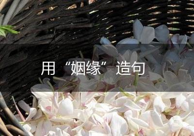用“姻缘”造句