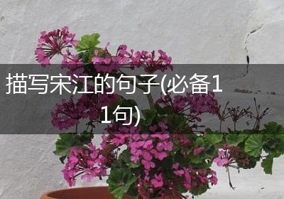描写宋江的句子(必备11句)