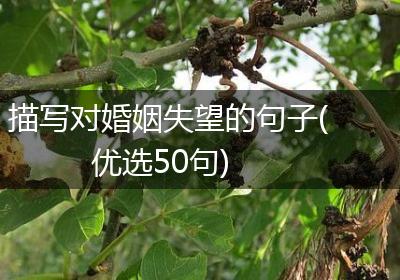描写对婚姻失望的句子(优选50句)
