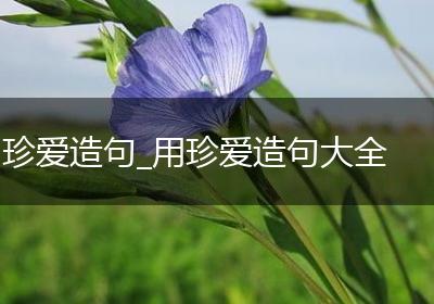 珍爱造句_用珍爱造句大全
