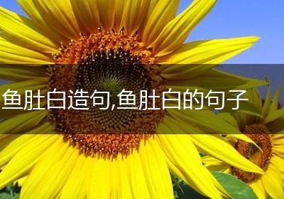鱼肚白造句,鱼肚白的句子