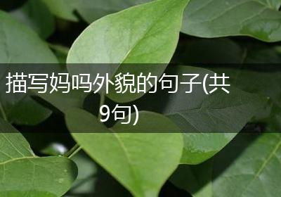 描写妈吗外貌的句子(共9句)