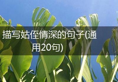 描写姑侄情深的句子(通用20句)
