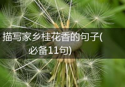 描写家乡桂花香的句子(必备11句)