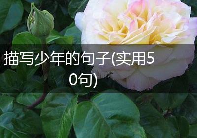 描写少年的句子(实用50句)
