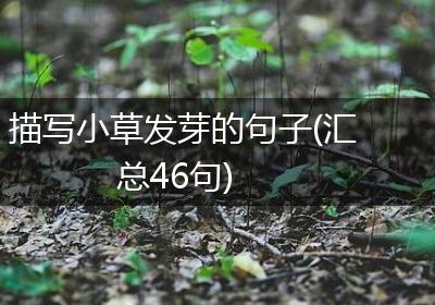 描写小草发芽的句子(汇总46句)