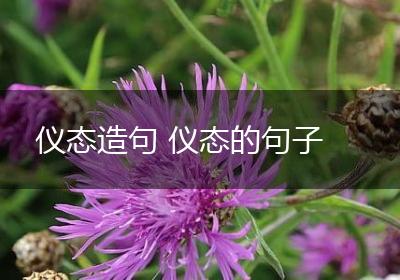 仪态造句 仪态的句子