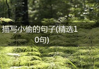 描写小偷的句子(精选10句)
