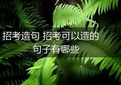 招考造句 招考可以造的句子有哪些