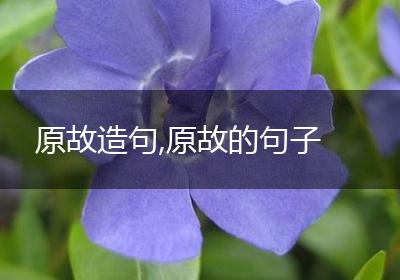 原故造句,原故的句子
