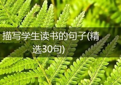 描写学生读书的句子(精选30句)