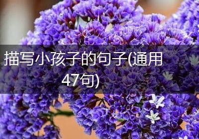 描写小孩子的句子(通用47句)
