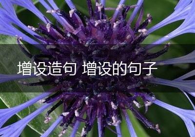 增设造句 增设的句子
