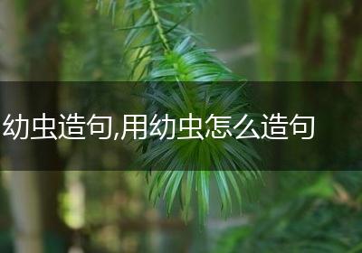 幼虫造句,用幼虫怎么造句