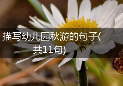 描写幼儿园秋游的句子(共11句)