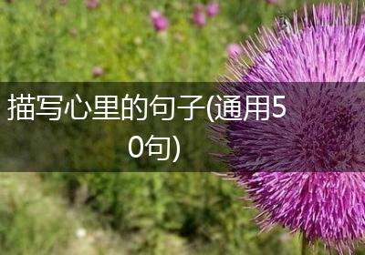 描写心里的句子(通用50句)
