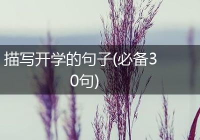 描写开学的句子(必备30句)