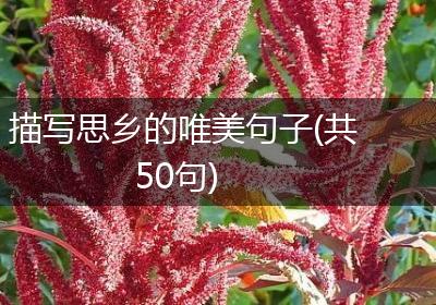 描写思乡的唯美句子(共50句)