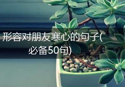 形容对朋友寒心的句子(必备50句)