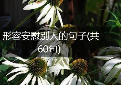 形容安慰别人的句子(共60句)