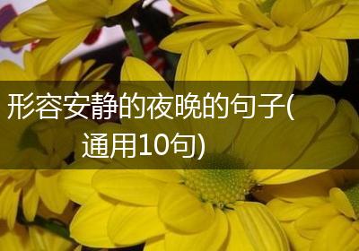形容安静的夜晚的句子(通用10句)