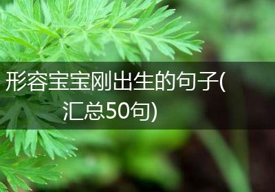 形容宝宝刚出生的句子(汇总50句)