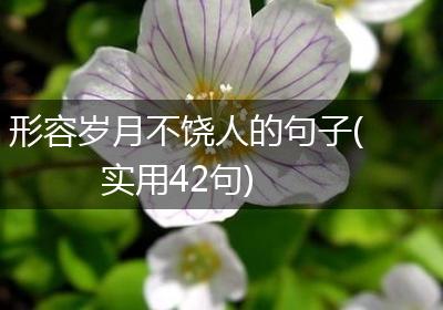 形容岁月不饶人的句子(实用42句)