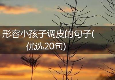 形容小孩子调皮的句子(优选20句)