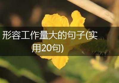 形容工作量大的句子(实用20句)