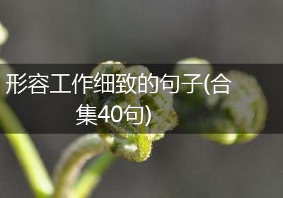 形容工作细致的句子(合集40句)