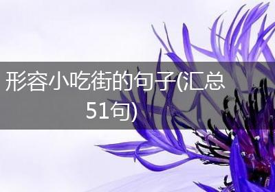 形容小吃街的句子(汇总51句)