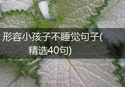 形容小孩子不睡觉句子(精选40句)