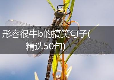 形容很牛b的搞笑句子(精选50句)